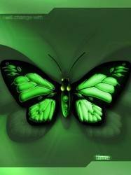 pic for Green Butterfly